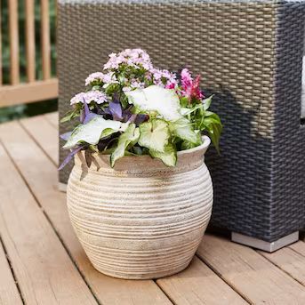  16-in W x 13.85-in H Off-white Mixed/Composite Traditional Indoor/Outdoor Planter | Lowe's
