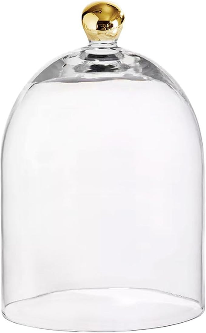 Santa Barbara Design Studio Glass Dome Food Cover Gold Knob Cloche, Large, Clear | Amazon (US)