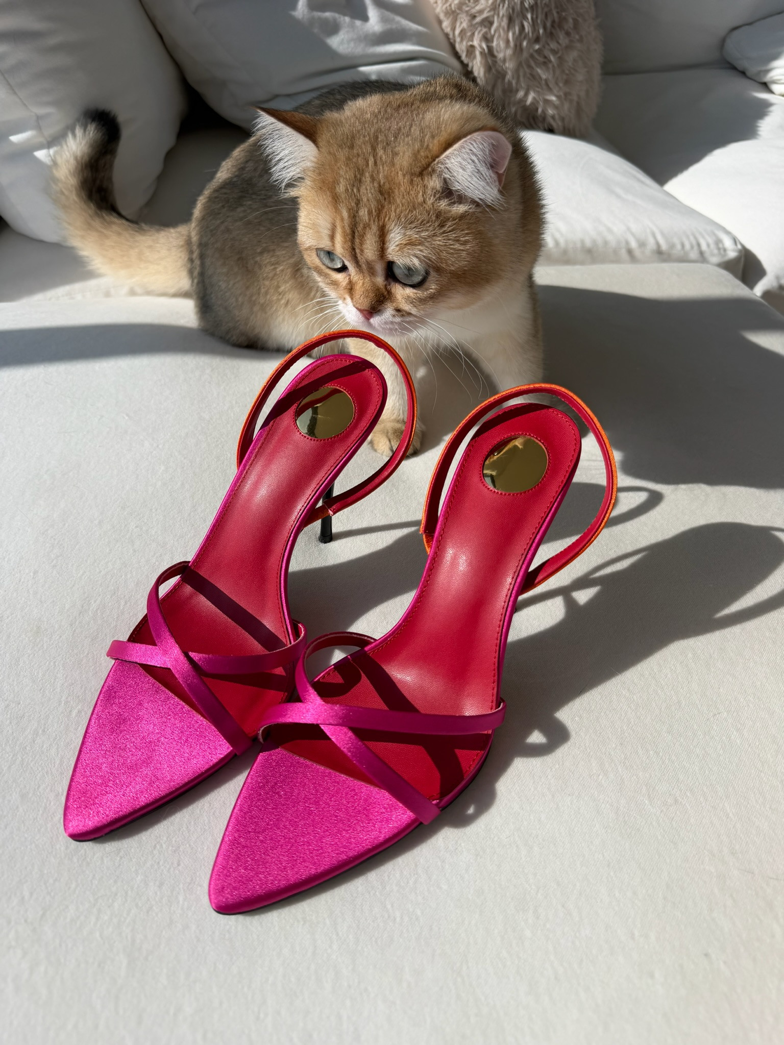 Luxury inspired heels from Amzn! These are stunning!!

#affordableluxury #luxuryinspired #amazonheels 

 #LTKgrwm #LTKootd #LTKSaleAlert