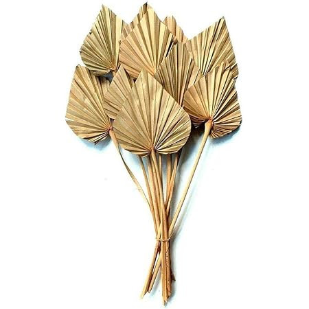 Lanadat Dried Palm Leaves Dried Palm Fans Bohemian Dried Palm Spears Artificial Plants Palm Leave... | Amazon (US)