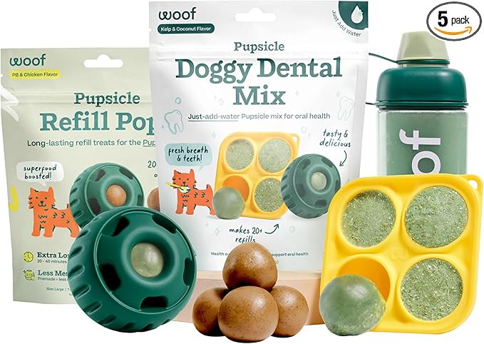 WOOF Dental Kit- Includes Pupsicle Dog Toy, Treat Tray, Shaker Bottle, Chicken Pupsicle Pops, and... | Amazon (US)