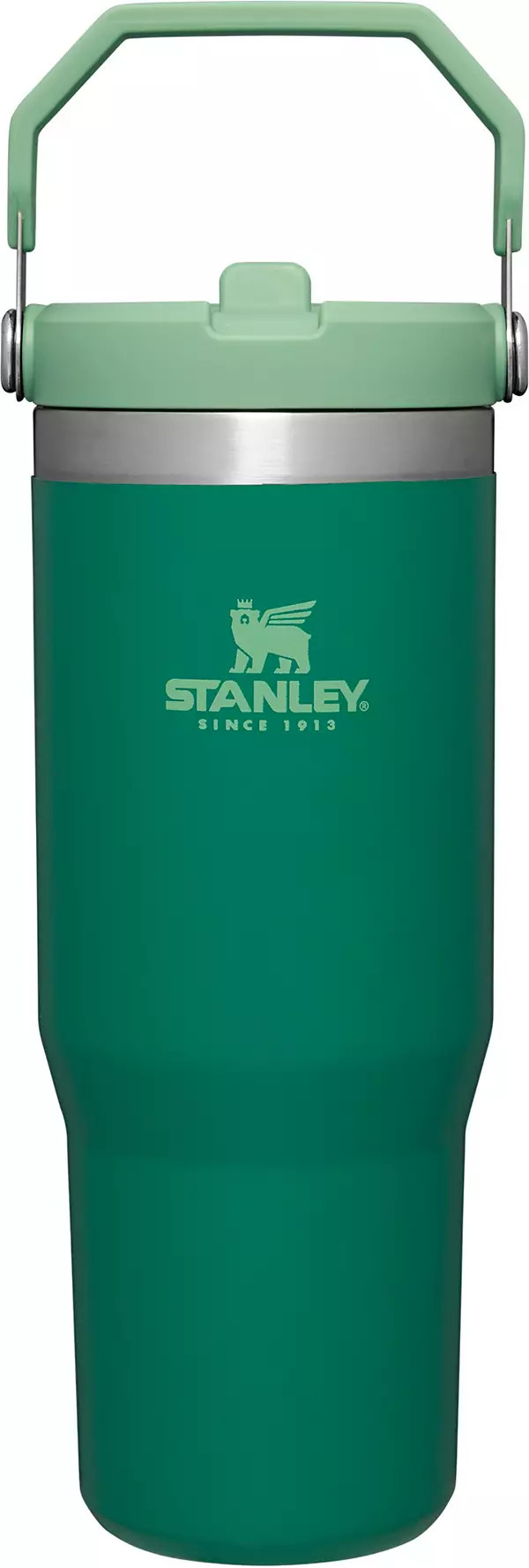 Stanley 30 Oz. IceFlow Tumbler with Flip Straw | Dick's Sporting Goods | Dick's Sporting Goods