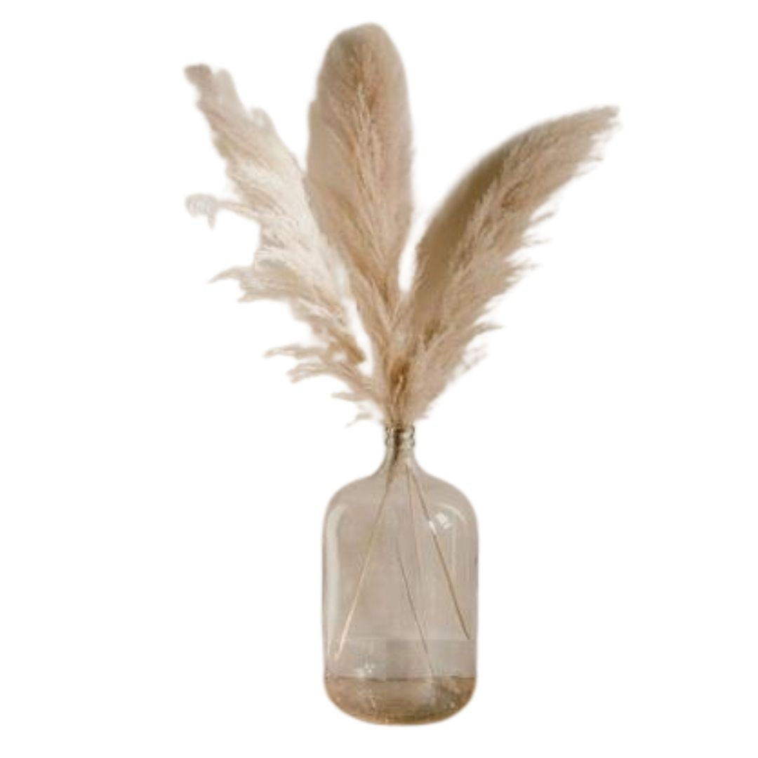Natural Fluffy Pampas Grass | Megan Molten