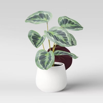 Mini Artificial Caladium in Textured White Ceramic Pot Dark Green - Opalhouse™ | Target