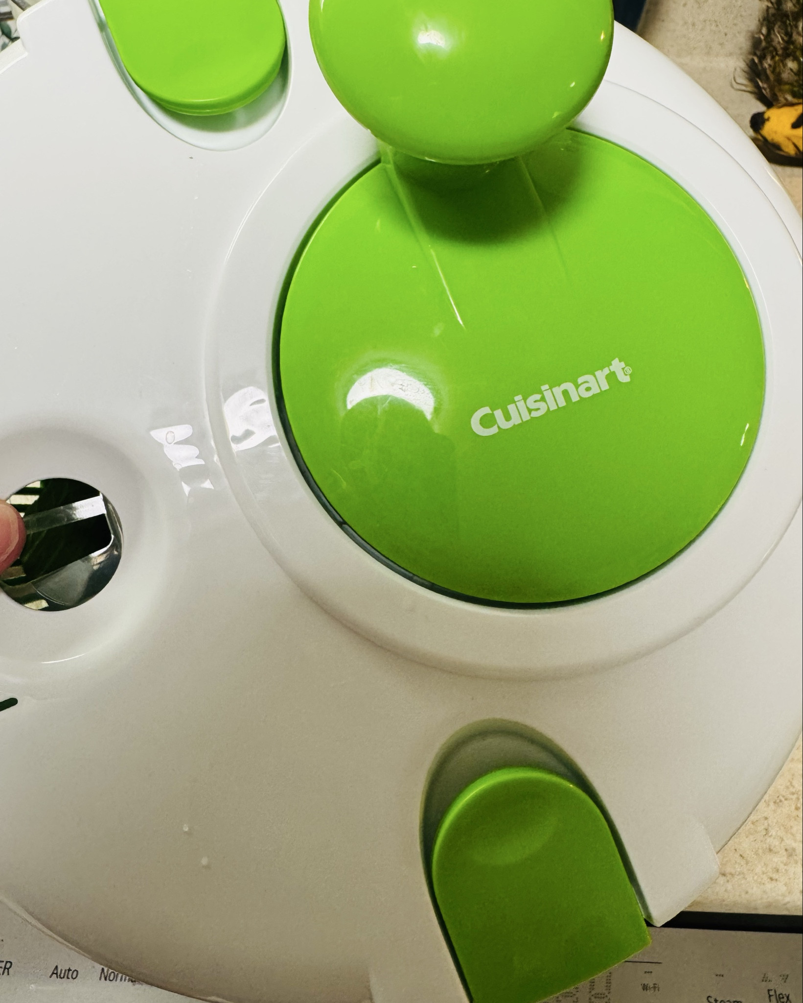 Ok! Here we go it’s lettuce season && I’m here for it!! Soo I happy I got this😝 it makes a world of difference && super easy to use‼️

#LTKHome #LTKSummerEdit