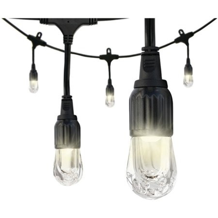 Enbrighten 31660 Classic LED Cafe Lights (12ft; 6 Acrylic Bulbs) | Walmart (US)