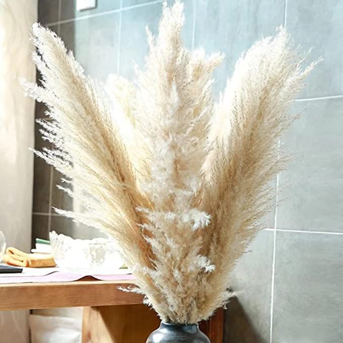 48" (4 FT) Length Pampas Grass 3 Stems - Tall Large Natural Dried Pampas for Flower Arrangements ... | Amazon (US)