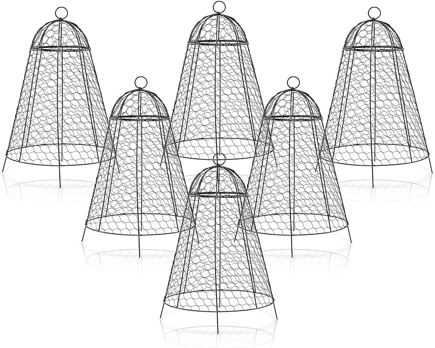 boldworks Garden Cloches for Plants Chicken Wire Cages to Protect from Animals Outdoor Extra Larg... | Amazon (US)