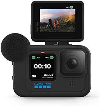 Display Mod - Official GoPro Accessory | Amazon (US)