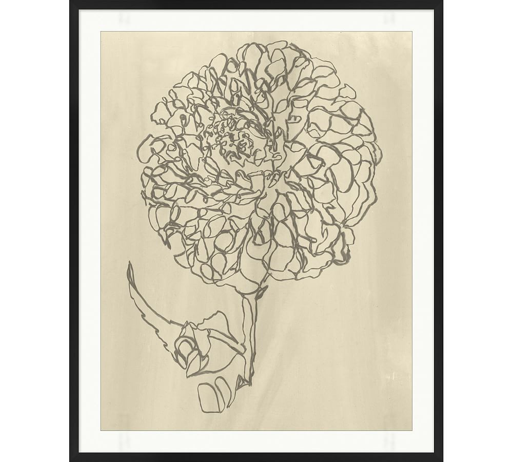 Blooming Sketch 2 Framed Print | Pottery Barn (US)