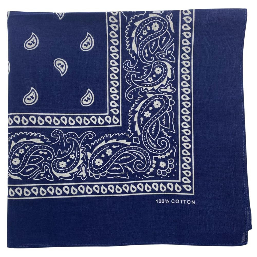 MDSTYLE 100% Cotton Bandana for Men & Women 22" x 22" Paisley Pattern Handkerchief Headband Scarf | Amazon (US)