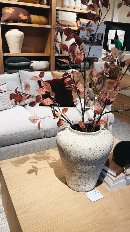 The most realistic large faux branches I’ve ever seen! There are only two in here.
-
Faux stems - Crate and Barrel - large textured vase - affordable home decor - affordable faux branches - Fall decor - oversized vase

#LTKSeasonal #LTKhome #LTKfindsunder100