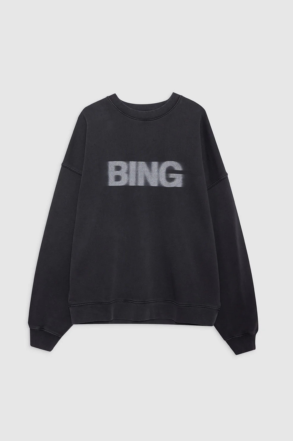 Miles Sweatshirt Blur | Anine Bing