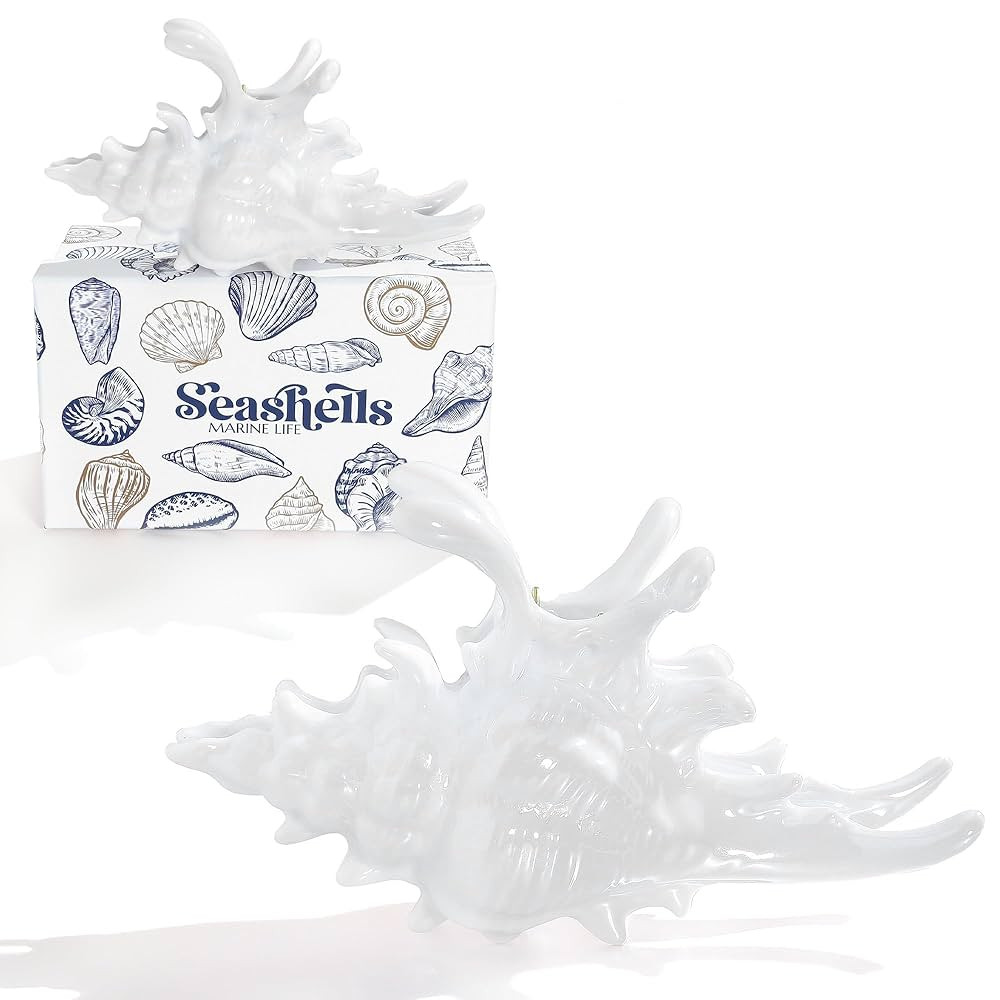 LILIE&WHITE White Conch Hair Clips For Women Large Shell Claw Clips For Thick Hair Fashion Mermai... | Amazon (US)