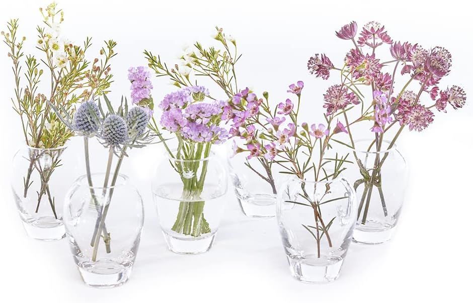 CHIVE ‘George’ Glass Bottle Flower Vases — Set of 6 — Small, Elegant Clear Glass Bud Vase... | Amazon (US)