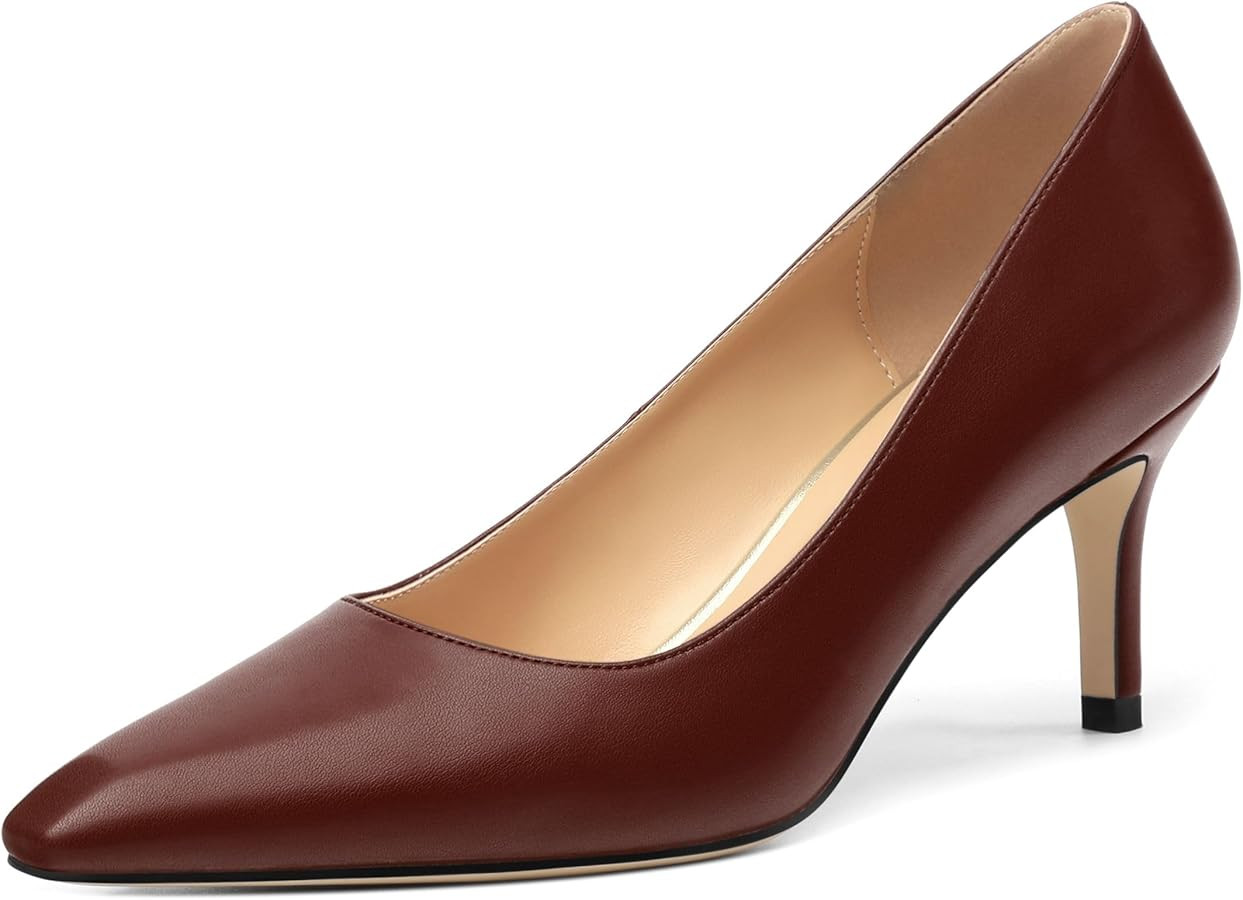 Women's High Heels Pumps, Stiletto Heels Pointed Toe Heels for Women Dark Brown Matte Size 8 | Amazon (US)