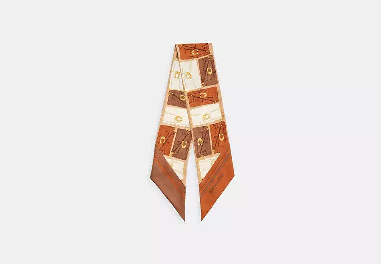 Tabby Bag Print Silk Wide Skinny Scarf | Coach (US)