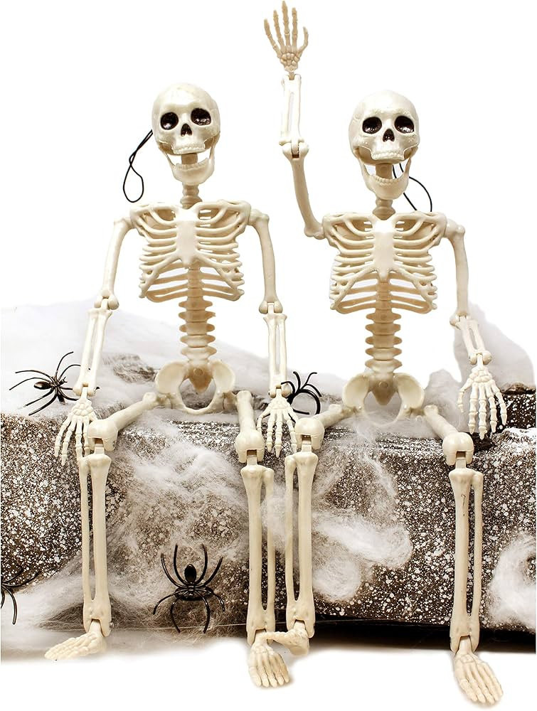 JOYIN 2 Packs 16" Posable Halloween Skeletons | Full Body Posable Joints Skeletons for Halloween Dec | Amazon (US)