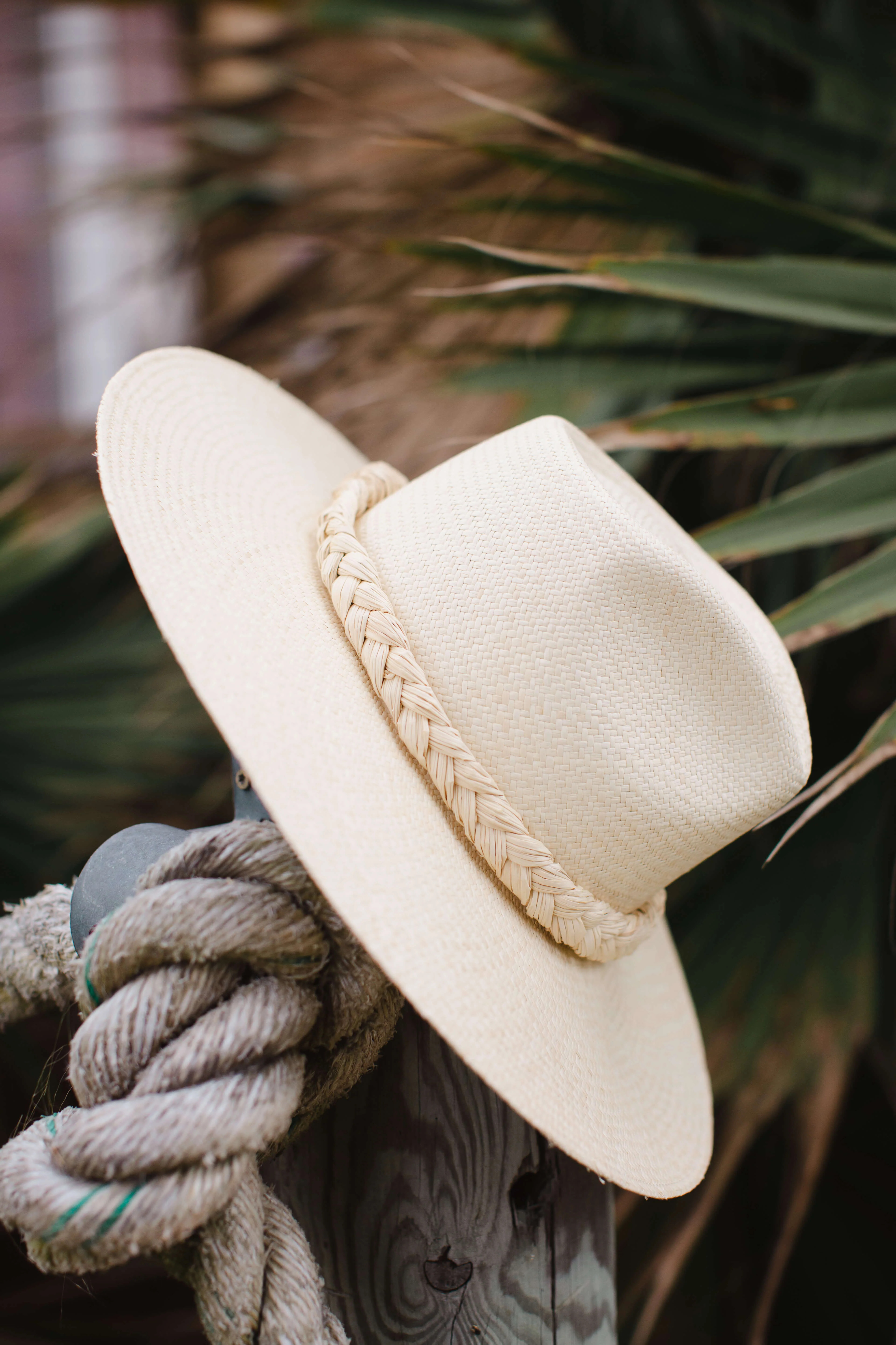 The Midsummer | SISSY LIGHT