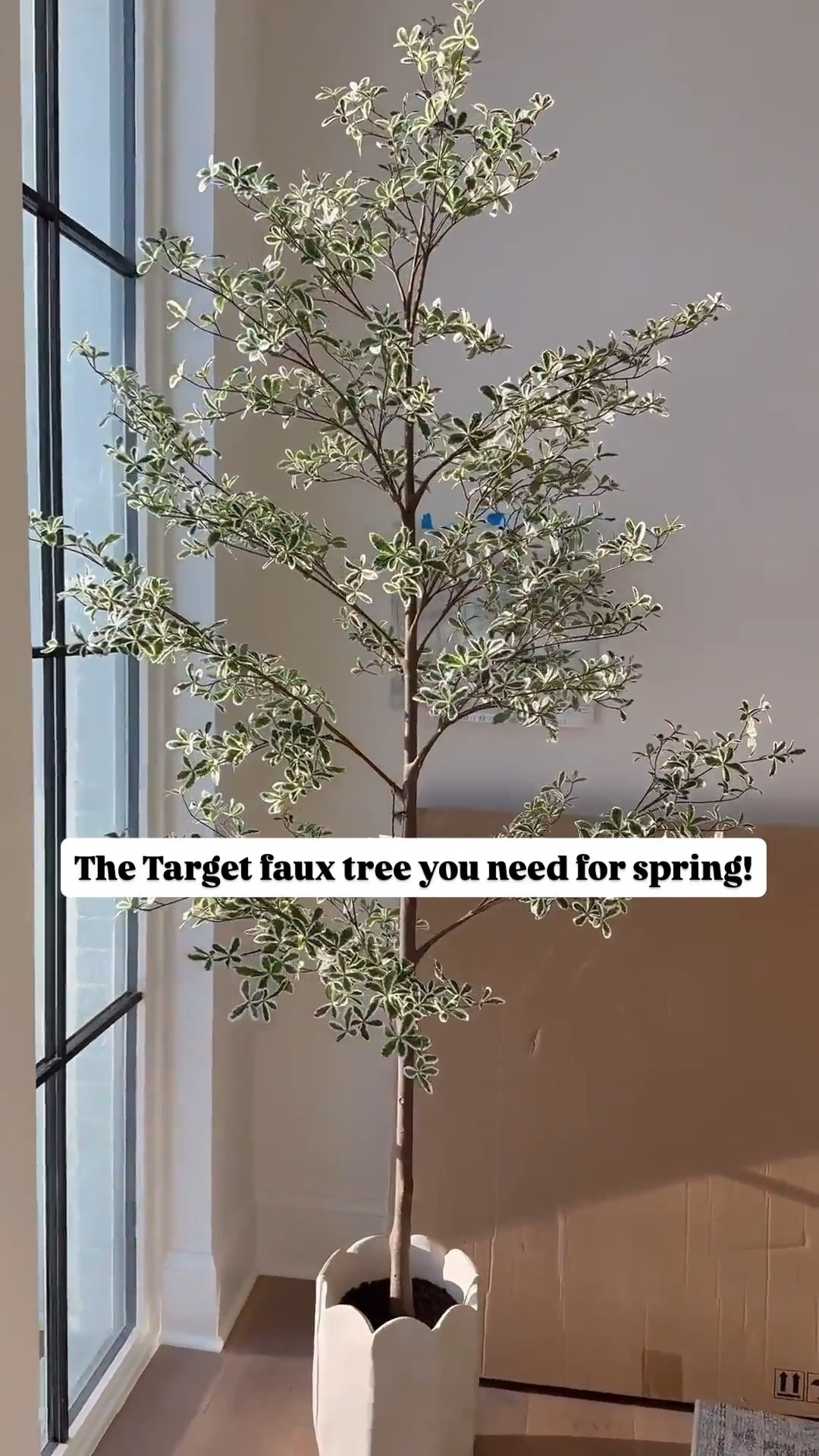 The prettiest Target faux tree!! A fraction of designer trees this size! Also linking my dining room chairs and table that’s coming soon!


#LTKHome #LTKSeasonal