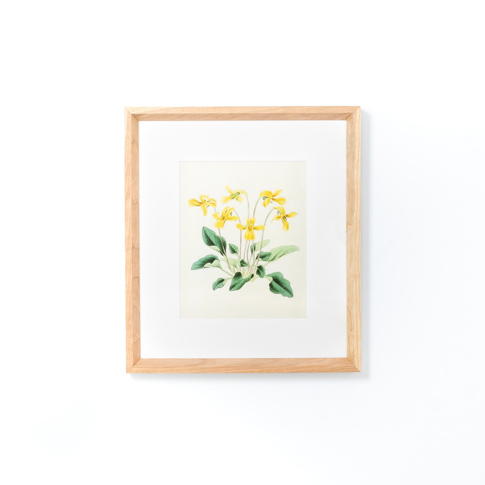 Cherry with White | Framebridge