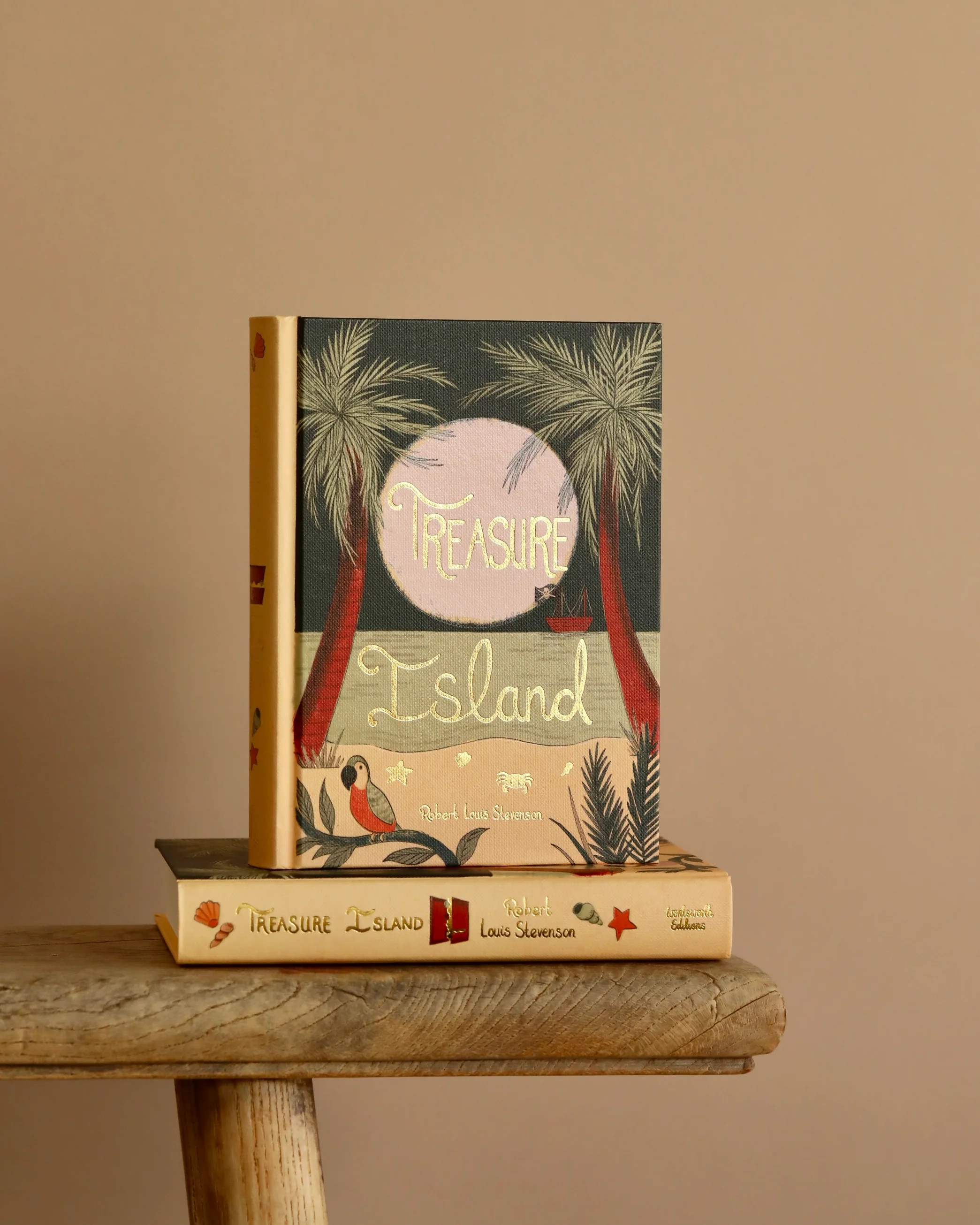 Treasure Island | Stevenson | Collector's Edition | Hardcover Book | Odin Parker