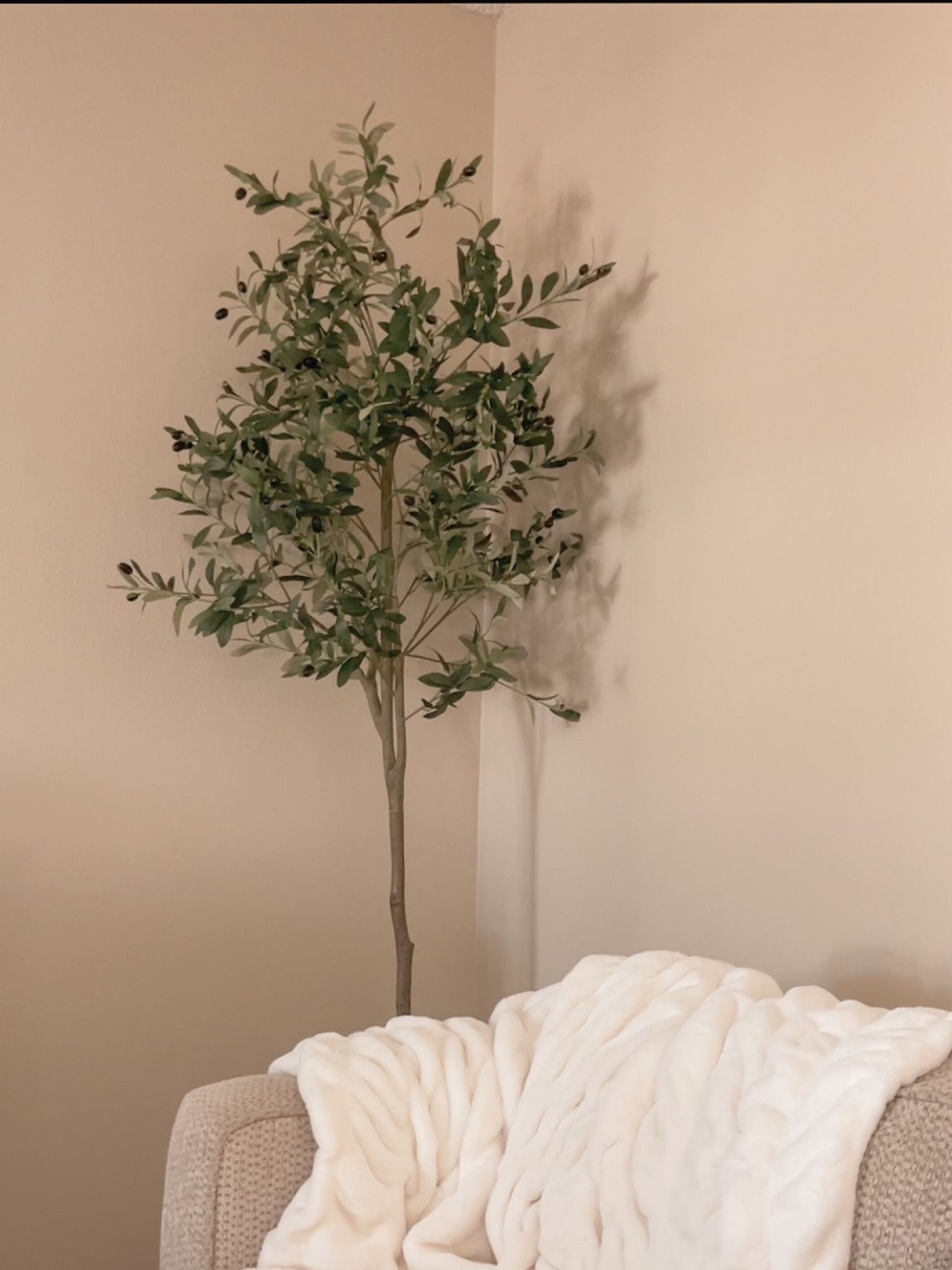 New 6 ft olive tree living room decor! 

#LTKHome #LTKFindsUnder100 #LTKSaleAlert