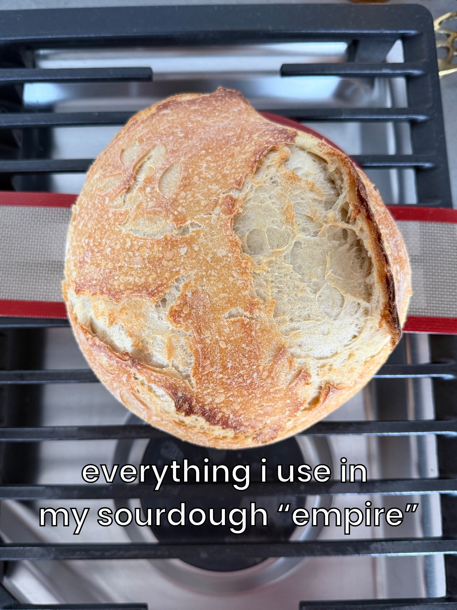 Everything I use in my sourdough “empire.” And when I say empire I just mean my single loaf a week that I’m absolutely obsessed with. 

#LTKfoodie #LTKHome #LTKvlog