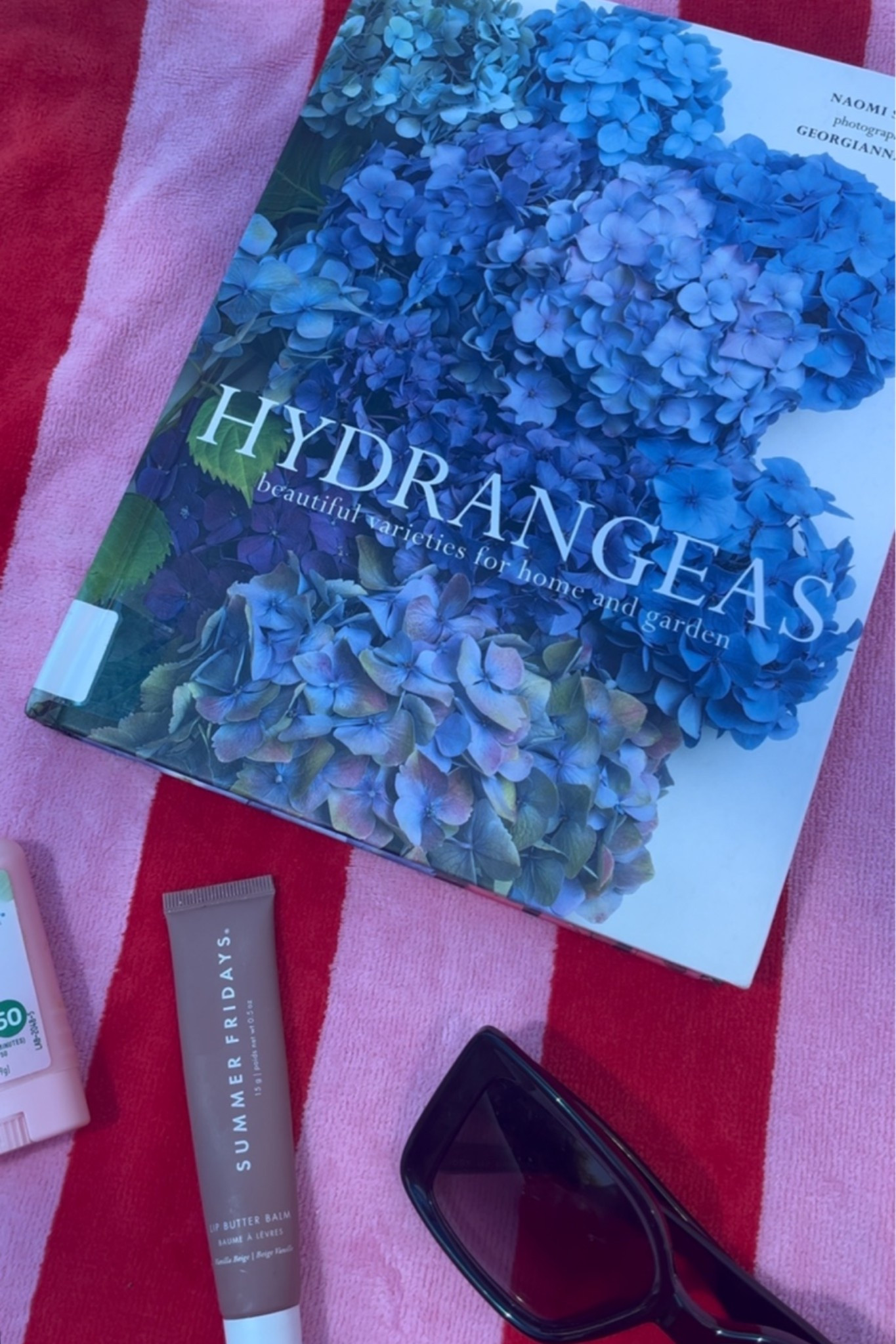 Summer reading + research 📖🌸 #hydrangeas #garden #gardening #summer #summerreading #reading #books

#LTKSeasonal #LTKHome