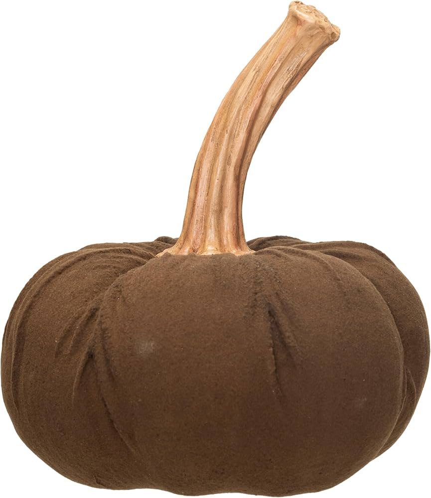Creative Co-Op Large Flocked Resin Pumpkin with Stone Powder, Brown | Amazon (US)