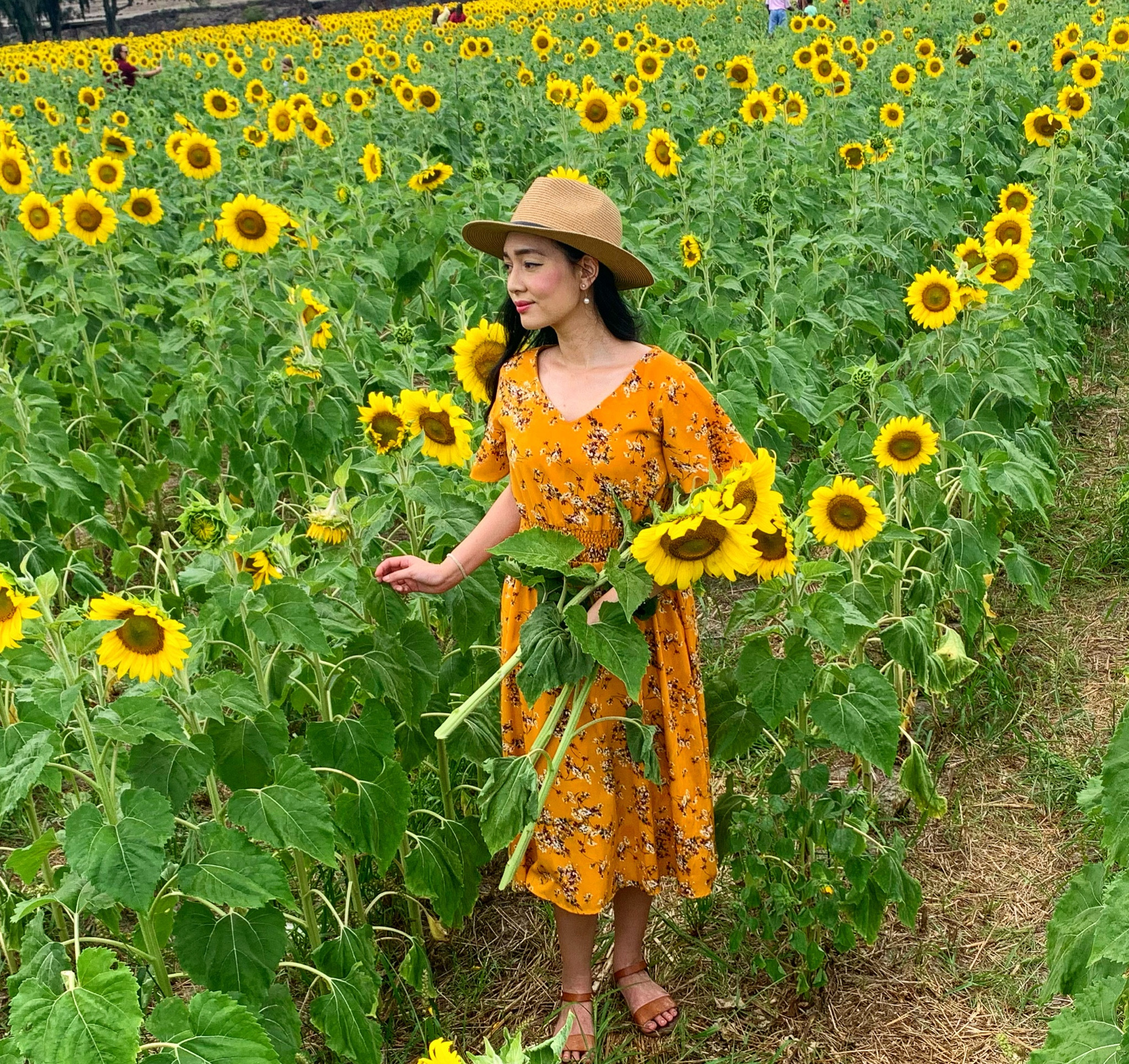 Perfect for Mother’s Day or for a sunny day in a field of sunny flowers. ☀️🌻 

#LTKstyletip #LTKfindsunder50 #LTKfindsunder100
