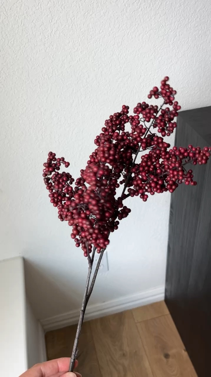 Michaels Stems // only $3!!

fall stems, michaels seasonal decor, michaels home finds, michaels fall stems, budget friendly fall stems 

#LTKHome #LTKStyleTip #LTKSeasonal