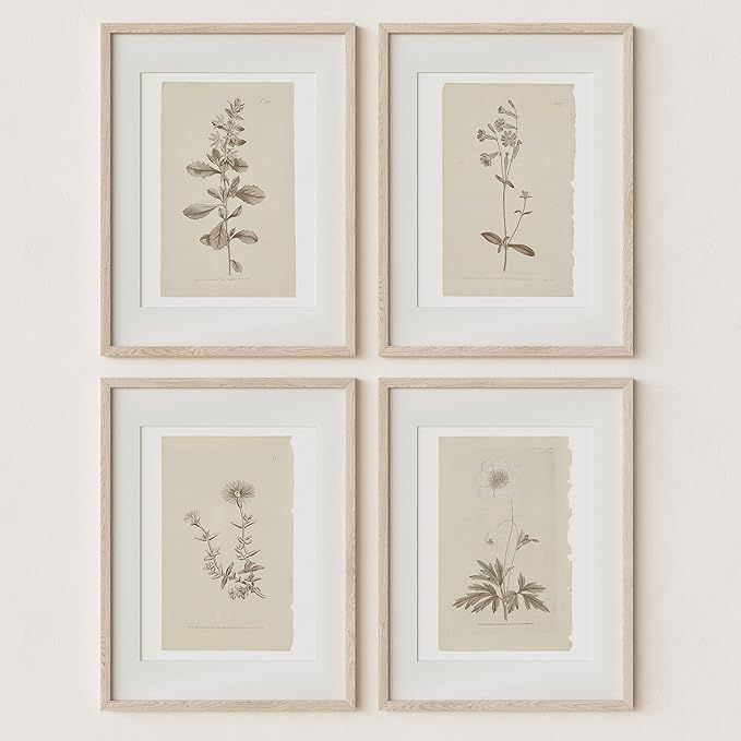 Wall Art Botanical Plant Prints | Vintage Flower Boho Minimalist Floral Artwork Decor for Bedroom... | Amazon (US)