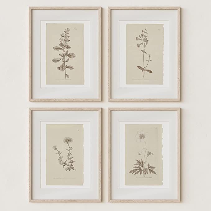Wall Art Botanical Plant Prints | Vintage Flower Boho Minimalist Floral Artwork Decor for Bedroom... | Amazon (CA)