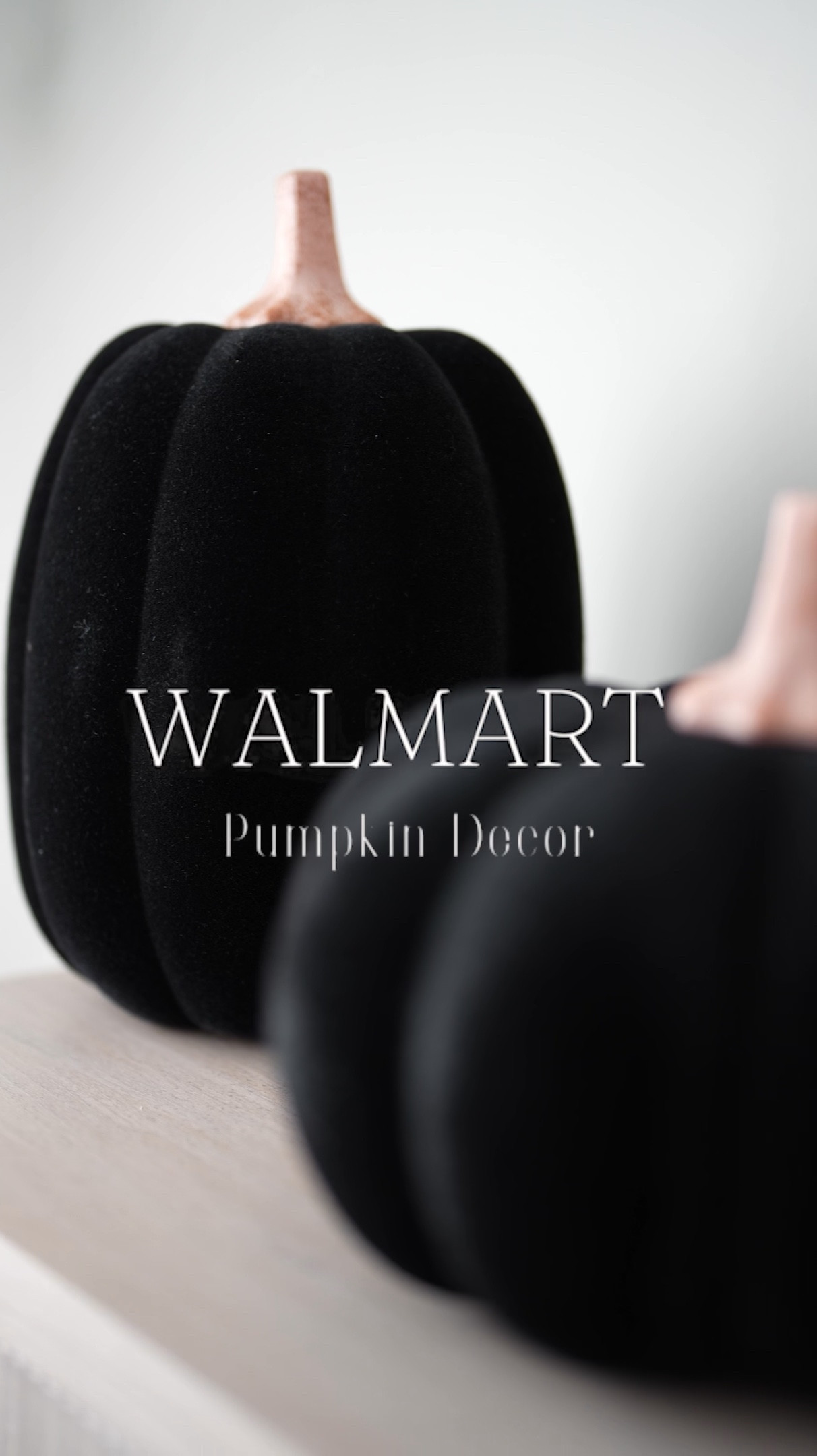 These Black Flocked Pumpkins from Walmart took my Fall Decor to an entirely  new level. These are so sophisticated and affordable.

#LTKHome #LTKOver40 #LTKFindsUnder50