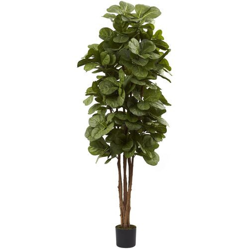 72" Fiddle Leaf Fig Tree - Green | One Kings Lane