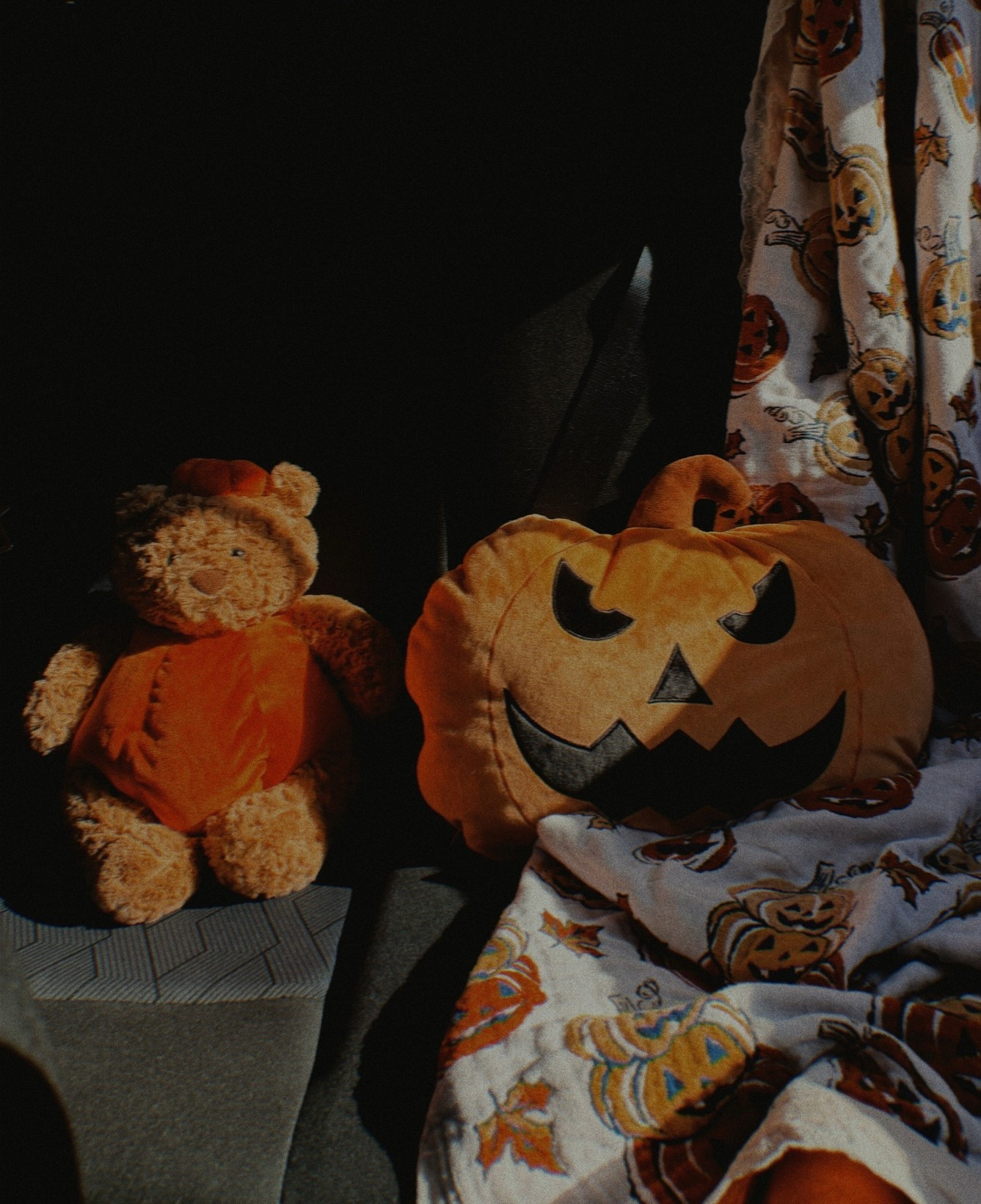Jelly cat bartholomew pumpkin bear!