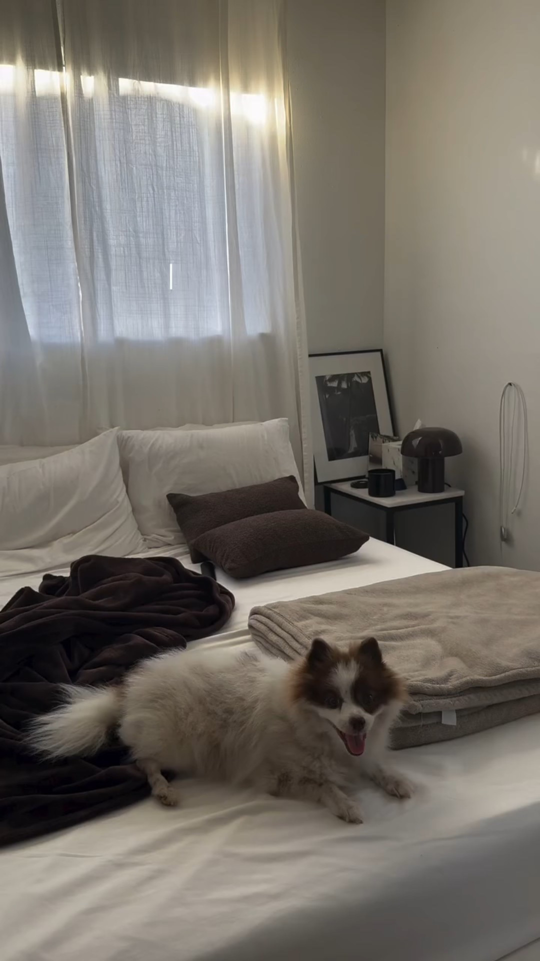 I’m a professional bedrotter who eats dinner at 4pm