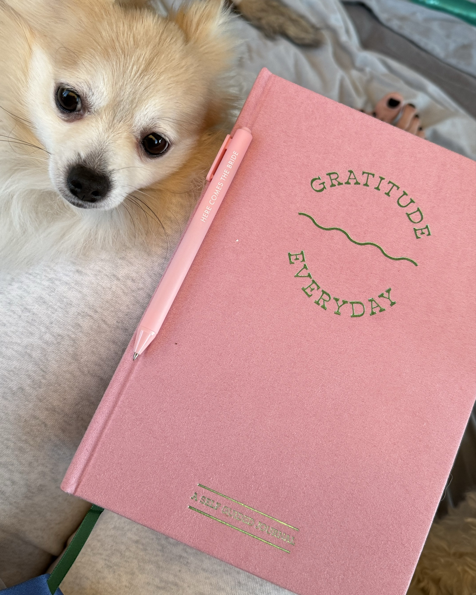 Starting my mornings with five minutes of gratitude 🩷 This super cute journal is only $10! And has been the perfect way to  give myself self care, focus on the good and start each day with the right energy. It’s simple, quick, and makes such a difference! Sharing it on my LTK if you want to add a little gratitude to your routine too. #MorningRituals #GratitudeEveryDay #LTKFinds 

#LTKGiftGuide