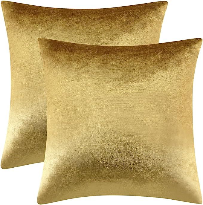 GIGIZAZA Gold Velvet Decorative Throw Pillow Covers for Sofa Bed 2 Pack Soft Cushion Cover | Amazon (US)