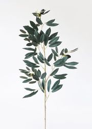 Fake Olive Branch - 35" | Afloral (US)