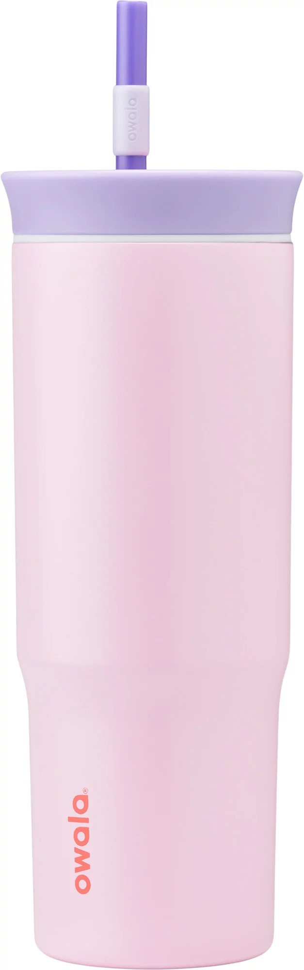 Owala 24 oz. Stainless Steel Straw Tumbler, Blossom Bunny | DICK'S Sporting Goods