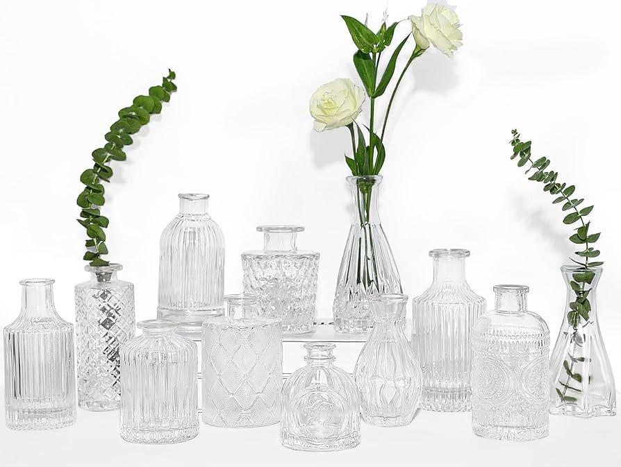Glass Bud Vases Set of 12, TBWIND Small Vases for Centerpieces, Vintage Mini Vases for Wedding De... | Amazon (US)