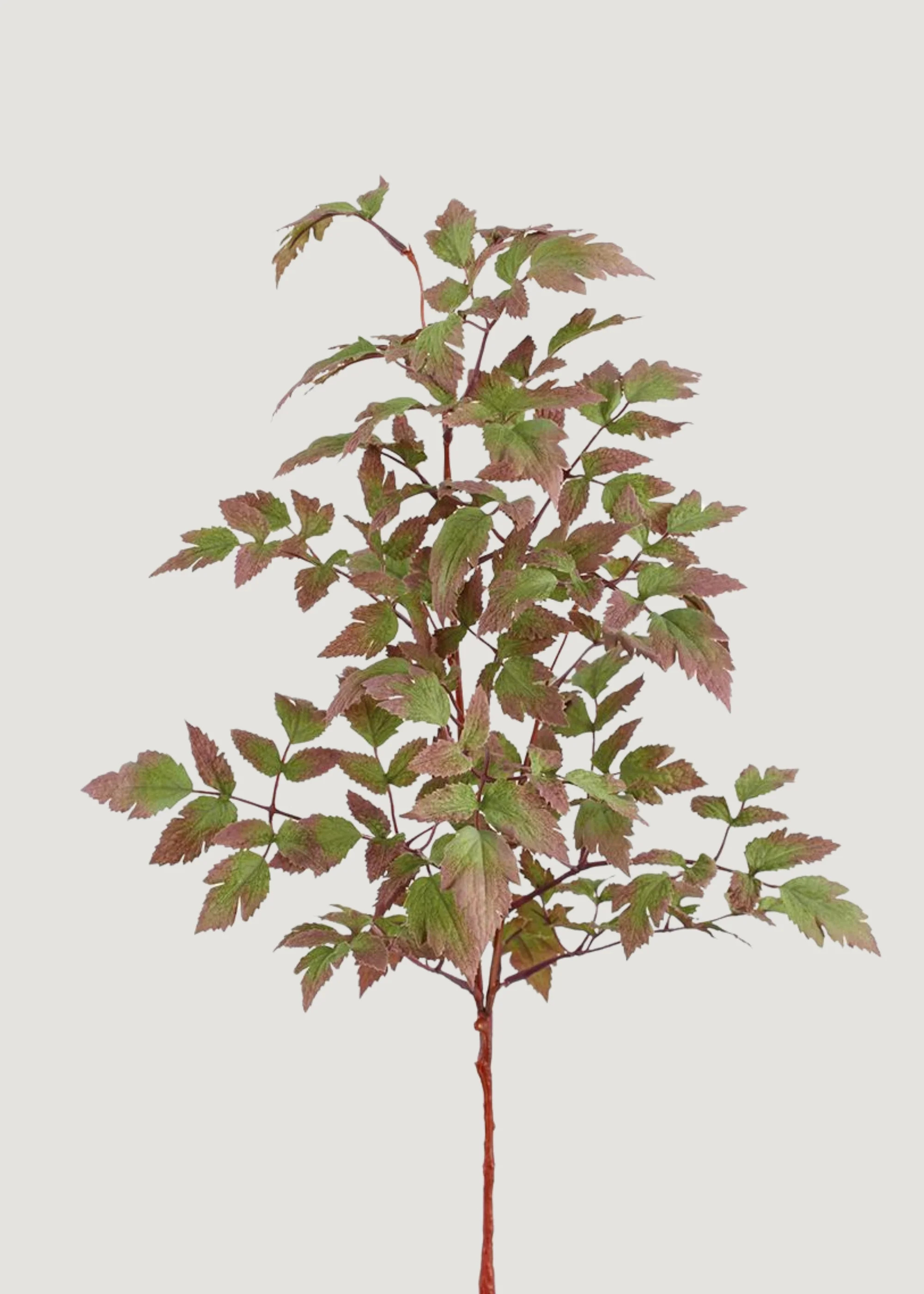 Purple and Green Fake Cimicifuga Leaf Branch - 30 | Afloral