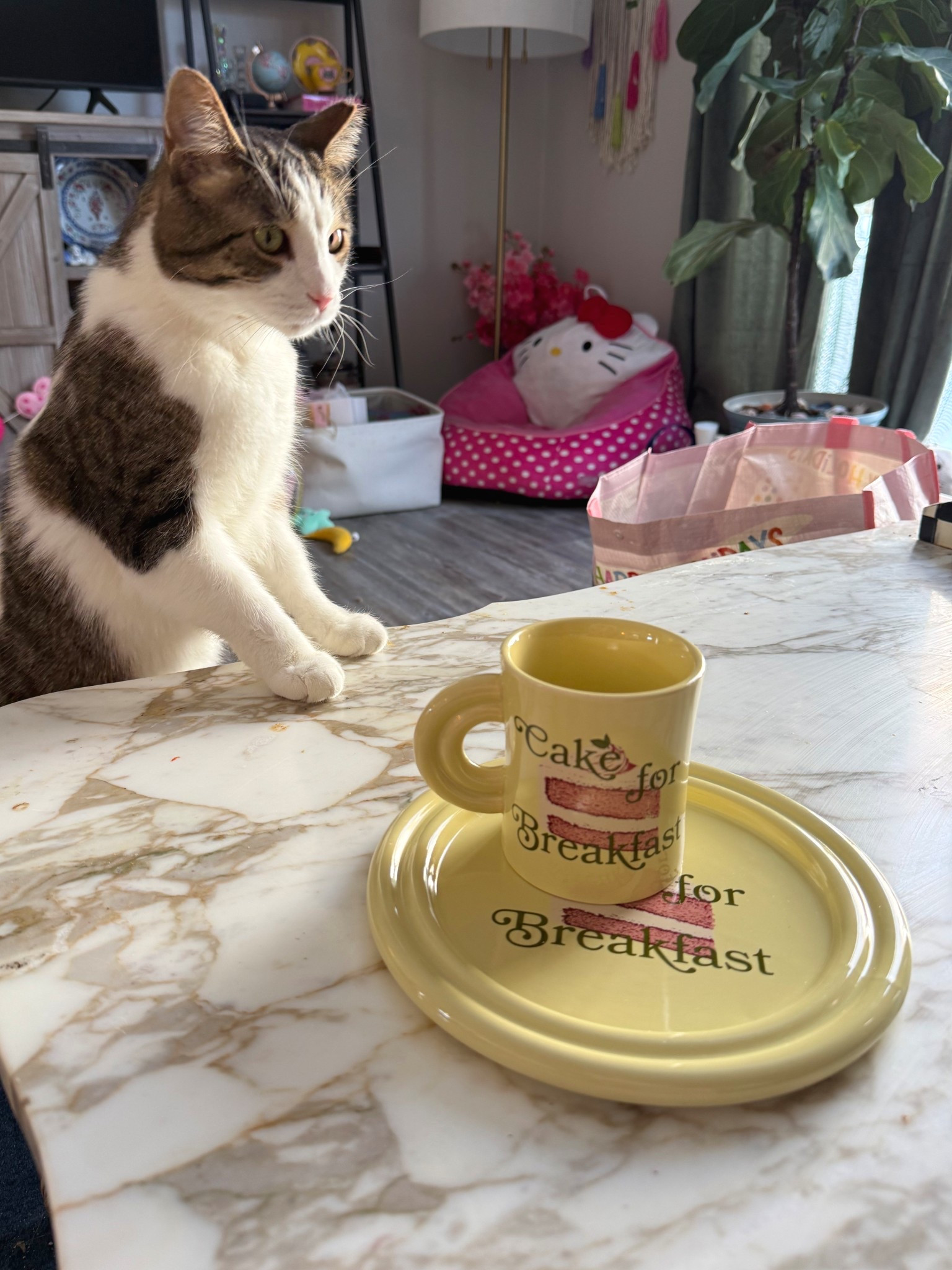 Cake for Breakfast stoneware 🍰 
Colorful home decor, colorful kitchen 

#LTKfoodie #LTKHome #LTKSaleAlert