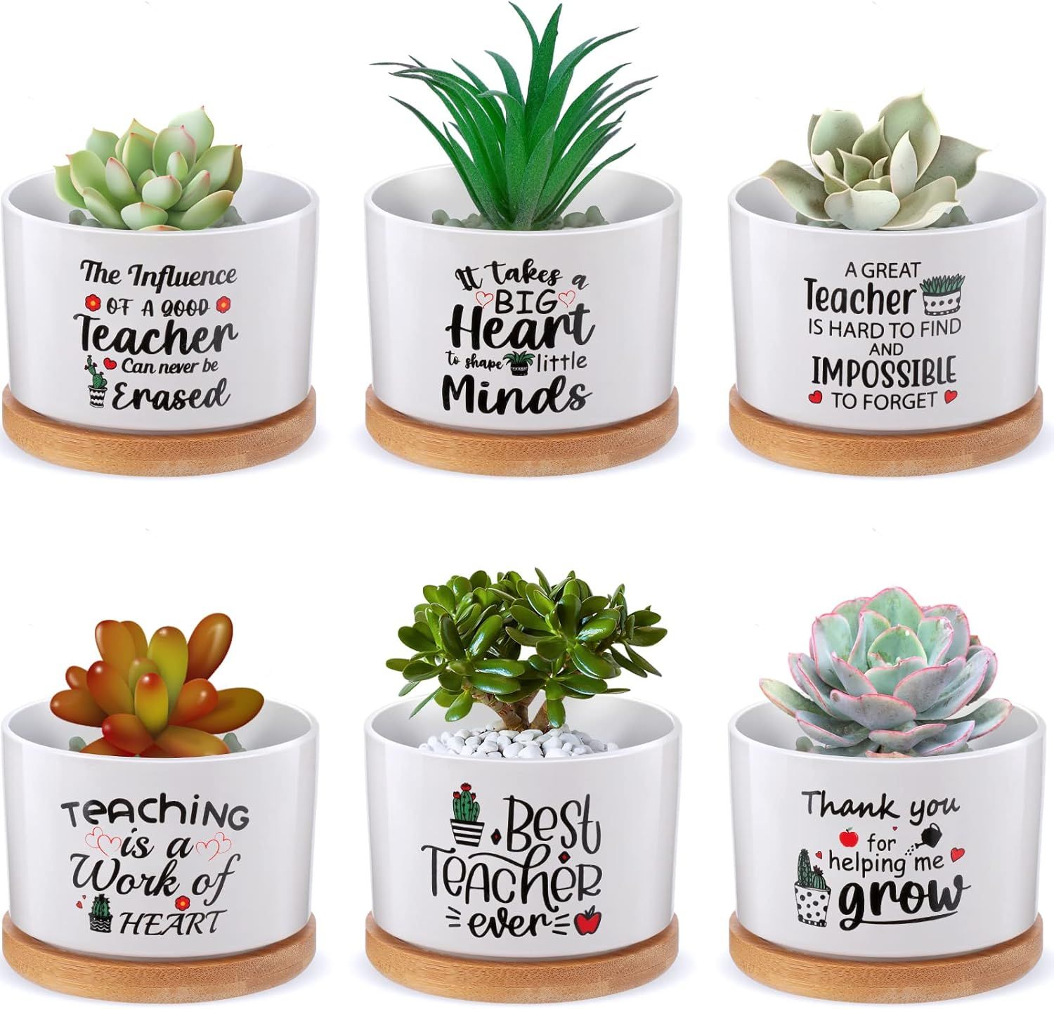6 Pieces Funny Succulent Plant Pot Funny Teacher Gifts Set with Bamboo Tray Ceramic Funny Planter... | Amazon (US)