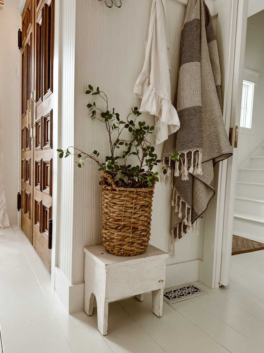 I love these green vines from Amazon. I have them in a basket in the pantry area of our kitchen. They add a touch of color and height to our home decor.  

 #LTKSeasonal #LTKHome #LTKFindsUnder50