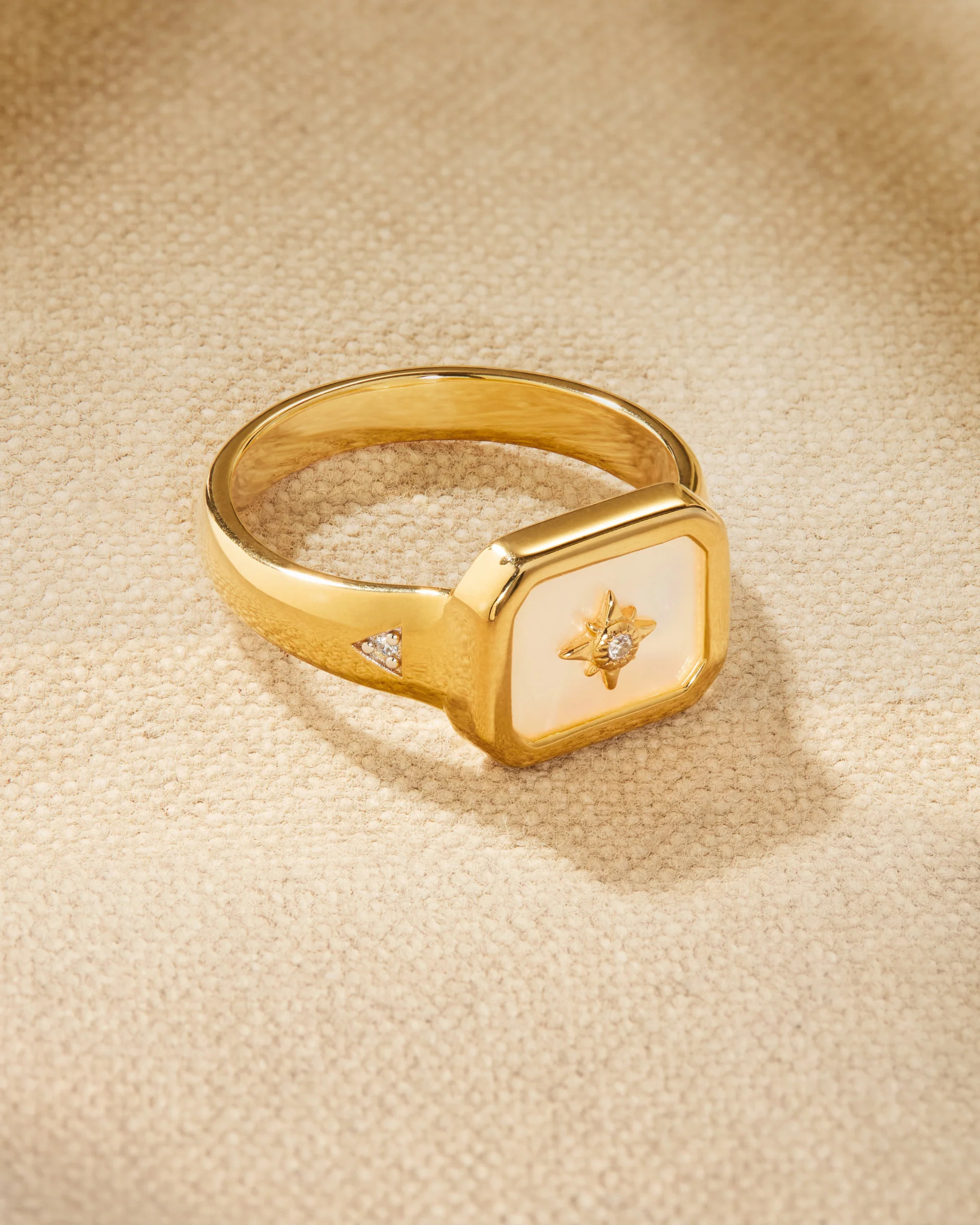 DANA Signet Ring | Raven James