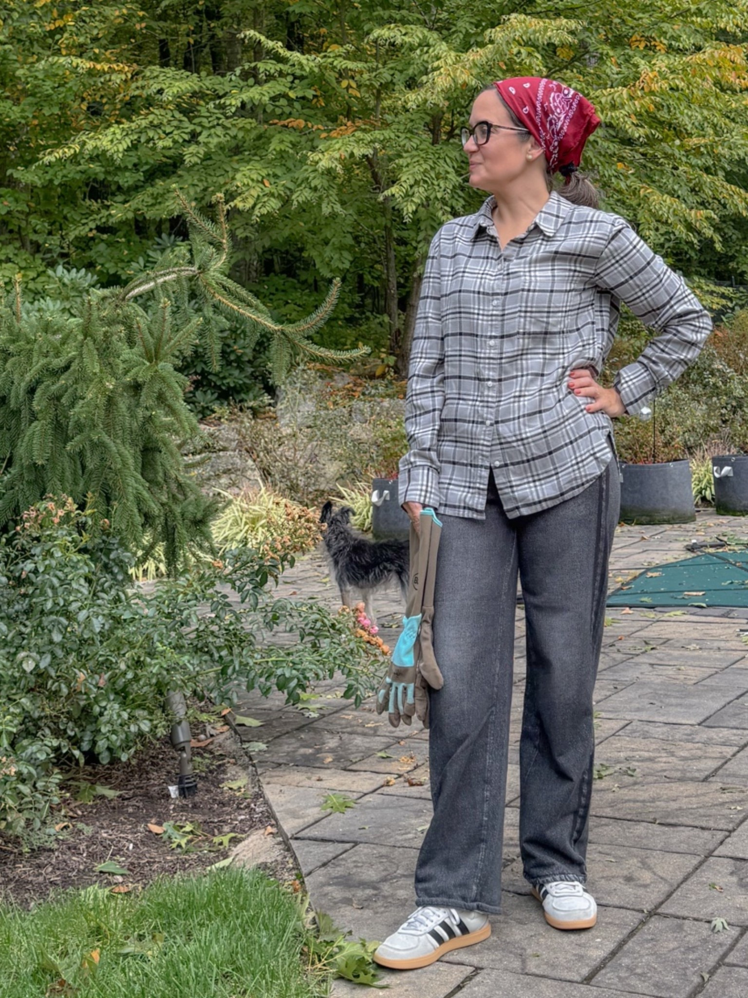 What I wore gardening today ~ flannel, Rag & Bone sweatpant jean, Adidas.

#LTKdayinmylife #LTKOver40 #LTKPetite
