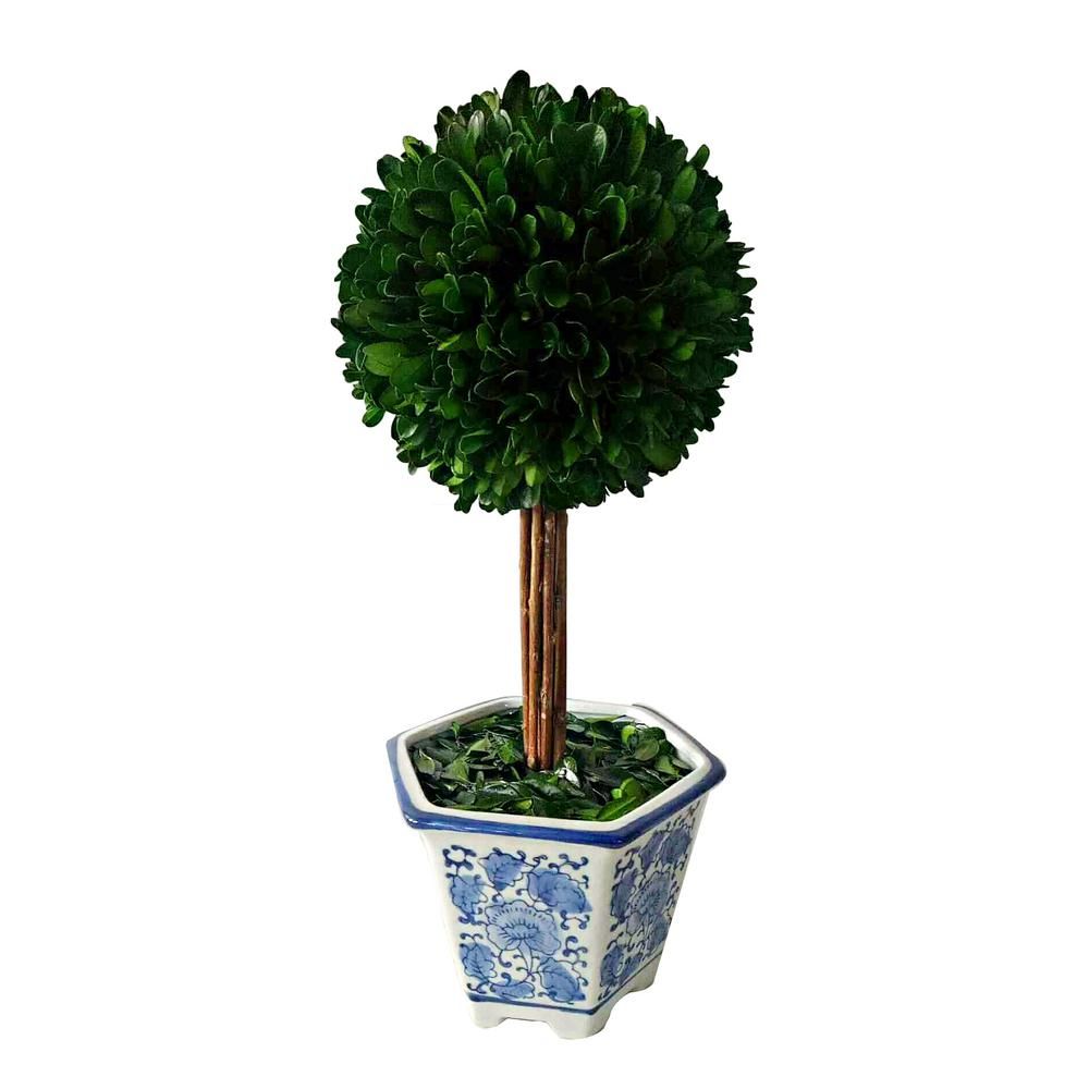 Preserved Boxwood Topiary Ceramic Pot | The Home Depot